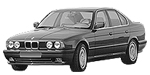 BMW E34 P210E Fault Code