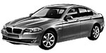 BMW F10 P210E Fault Code